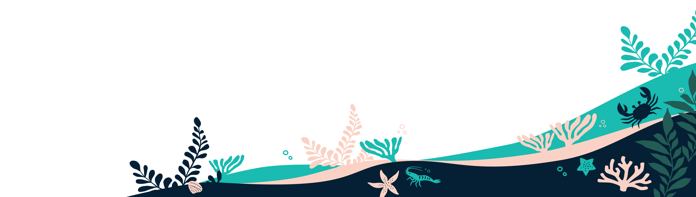 Seashore illustration