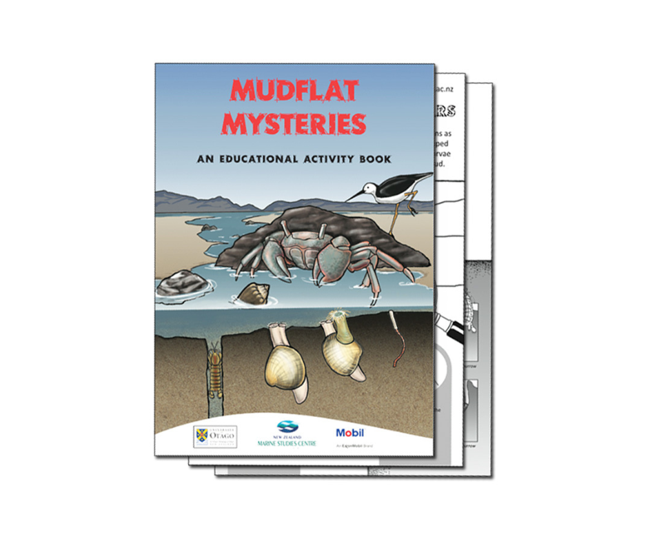 Mudflat Mysteries Activity Book