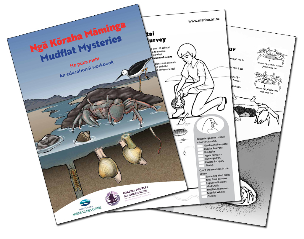 resource illustration 0