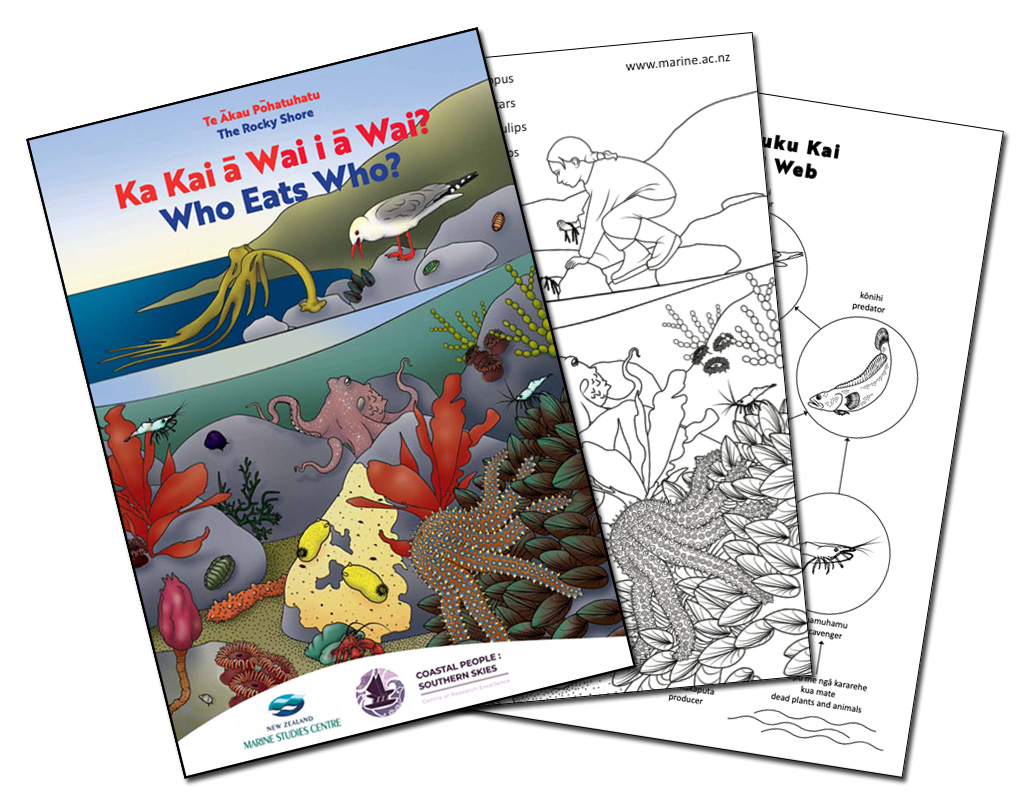 resource illustration 0