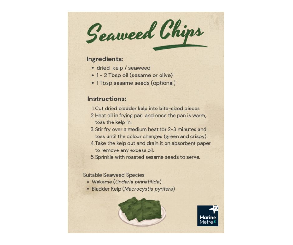 Seaweeds – Recipe for Chips